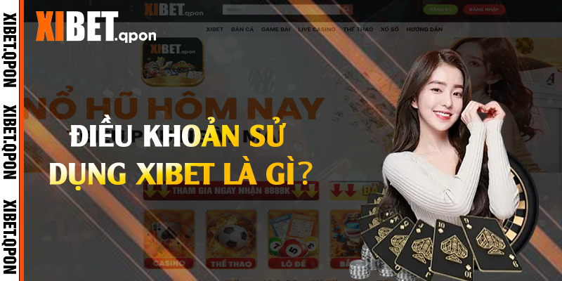 Điều khoản sử dụng Xibet là gì?