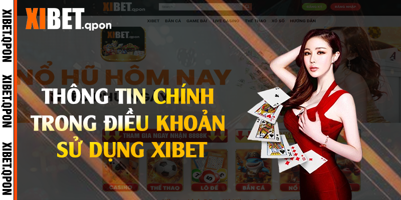 Thông tin chính trong điều khoản sử dụng Xibet